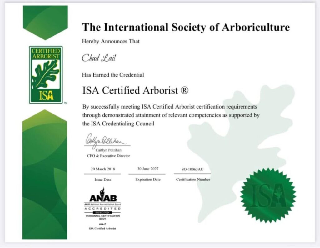 ISA Certified Arborist in Hickory, NC