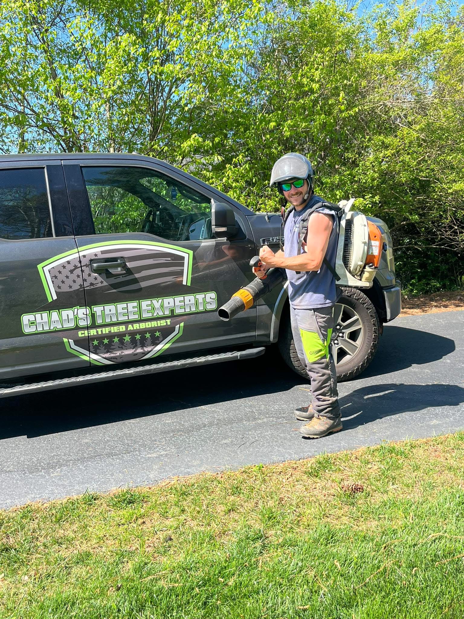 Tree removal service in Hickory, NC by Chad's Tree Experts